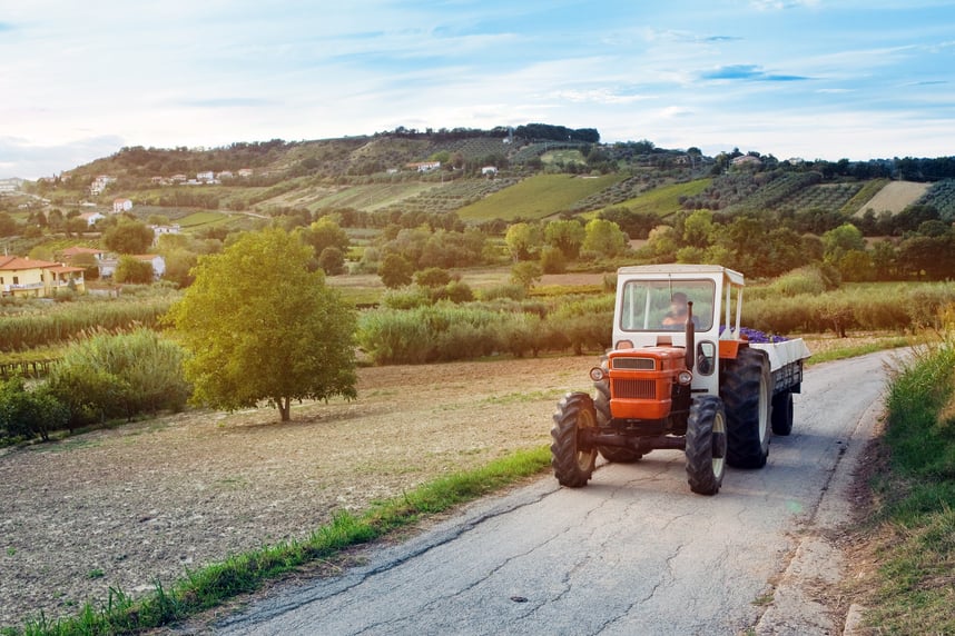 Vini d'Abruzzo: storia, vitigni e abbinamenti